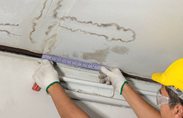 Reliable Mold Remediation contractor in Groveton, NH by Water Damage Irwin